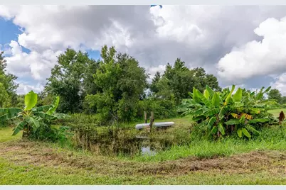 3005 Verna Bethany Road, Myakka City, FL 34251 - Photo 29
