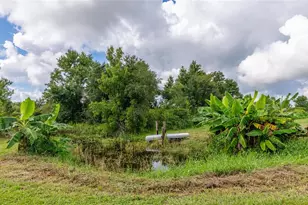 3005 Verna Bethany Rd, Myakka City, FL 34251 - Photo 29