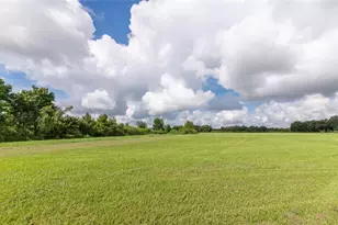 3005 Verna Bethany Rd, Myakka City, FL 34251 - Photo 31