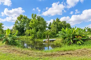 3005 Verna Bethany Rd, Myakka City, FL 34251 - Photo 9