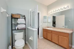 7919 113th Ave E Ave E, Parrish, FL 34219 - Photo 35