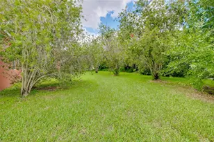 7919 113th Ave E Ave E, Parrish, FL 34219 - Photo 47