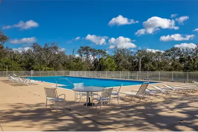 3649 Wilderness Boulevard W, Parrish, FL 34219 - Photo 79
