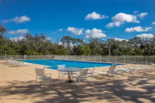 3649 Wilderness Blvd W, Parrish, FL 34219 - Photo 79