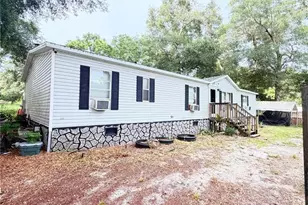 20315 Green Wing Rd, Altoona, FL 32702 - Photo 1