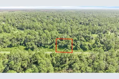 Lot 5 Bignay Road, North Port, FL 34288 - Photo 13