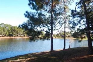 437 Randon Terrace, Lake Mary, FL 32746 - Photo 19