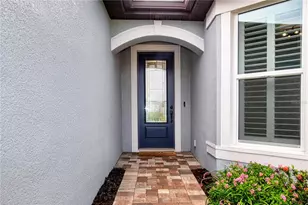 9315 Barrier Coast Trail, Parrish, FL 34219 - Photo 11