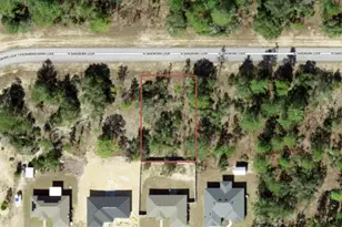 6785 N Sandborn Loop, Citrus Springs, FL 34433 - Photo 1