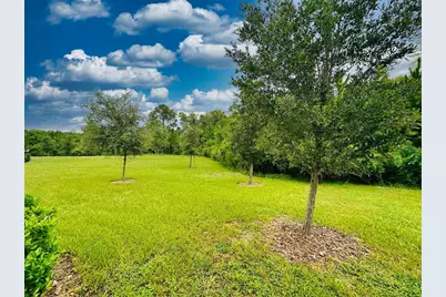 16660 Shell Bay Drive, Land O Lakes, FL 34638 - Photo 57