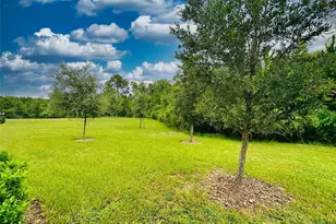 16660 Shell Bay Dr, Land O Lakes, FL 34638 - Photo 57