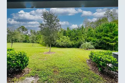 16660 Shell Bay Drive, Land O Lakes, FL 34638 - Photo 55