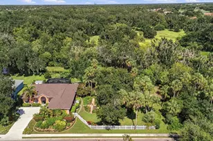 3310 River Woods Dr, Parrish, FL 34219 - Photo 81