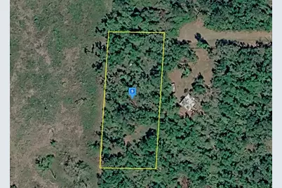 200 NE Leek Trail, Lee, FL 32059 - Photo 1