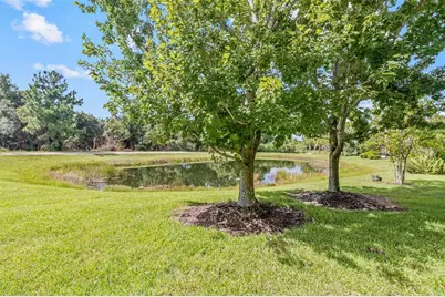 12161 Trailhead Drive, Bradenton, FL 34211 - Photo 45