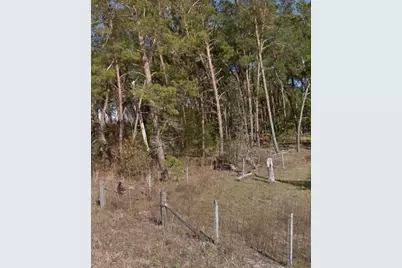 Se 140 Avenue, Williston, FL 32696 - Photo 3