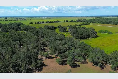 6200 Verna Road, Myakka City, FL 34251 - Photo 55