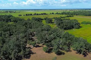 6200 Verna Rd, Myakka City, FL 34251 - Photo 55