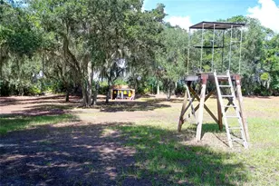 6200 Verna Rd, Myakka City, FL 34251 - Photo 45