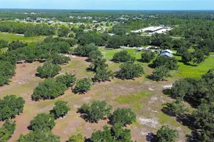 6200 Verna Rd, Myakka City, FL 34251 - Photo 53