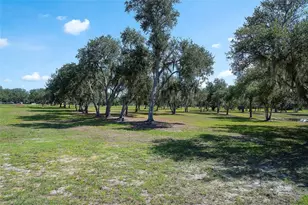 6200 Verna Rd, Myakka City, FL 34251 - Photo 63