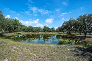 6200 Verna Rd, Myakka City, FL 34251 - Photo 59