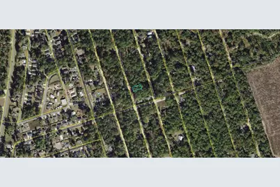 00-00-035-008-07417-000 Choctaw Road, Crawfordville, FL 32327 - Photo 3