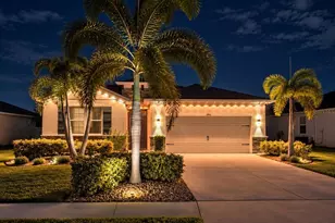 3916 Mossy Limb Ct, Palmetto, FL 34221 - Photo 29
