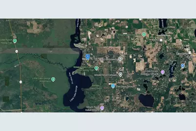 505 Oak Street, Welaka, FL 32193 - Photo 3