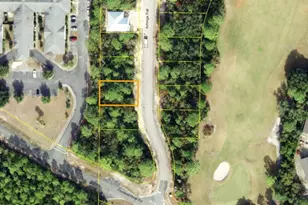 111 Anhinga Trail, Carrabelle, FL 32322 - Photo 1