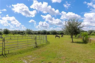 710 Myakka Rd, Sarasota, FL 34240 - Photo 87