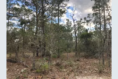 6000 W Cedar Hill Street, Dunnellon, FL 34433 - Photo 7
