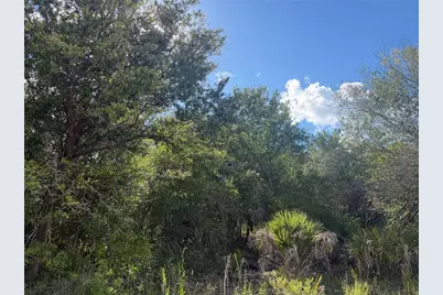 Swiss Boulevard, Punta Gorda, FL 33982 - Photo 3