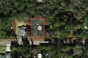325 W Eridani Ct, Citrus Springs, FL 34434 - Photo 1