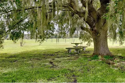 8235 State Road 64 W, Ona, FL 33865 - Photo 5