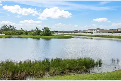 1007 Golden Shiner Avenue, Ruskin, FL 33570 - Photo 59