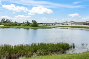 1007 Golden Shiner Ave, Ruskin, FL 33570 - Photo 59