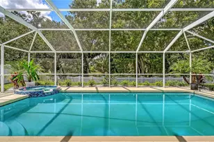 4005 Douglas Hill Pl, Parrish, FL 34219 - Photo 39