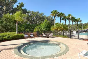 4005 Douglas Hill Pl, Parrish, FL 34219 - Photo 51