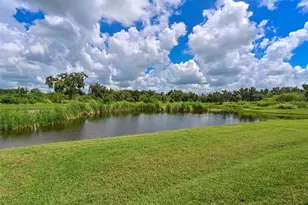 11526 64th St E, Parrish, FL 34219 - Photo 29