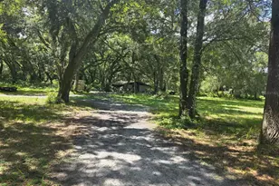 10576 S US Hwy 301, Webster, FL 33597 - Photo 21