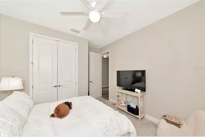 9211 Isabella Circle, Parrish, FL 34219 - Photo 31