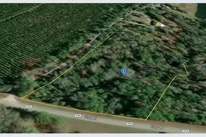1312 Glory Road, Quincy, FL 32352 - Photo 3