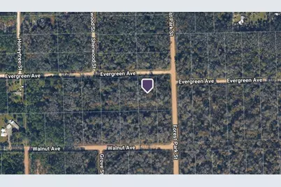 4001 Evergreen Avenue, Bunnell, FL 32110 - Photo 3