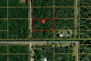 10160 Weatherby Ave, Hastings, FL 32145 - Photo 1