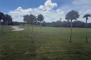 929 Capri Isles Blvd, Venice, FL 34292 - Photo 23