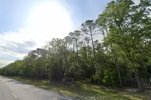 NE Hwy 351, Old Town, FL 32680 - Photo 1