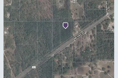 Ne Hwy 351, Old Town, FL 32680 - Photo 5