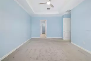 12338 Violet Jasper Dr, Parrish, FL 34219 - Photo 29