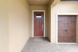 12338 Violet Jasper Dr, Parrish, FL 34219 - Photo 9